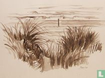 Dünen am Meer (Ameland)