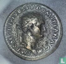 Roman Empire, AE Dupondius, 81-96 AD, Domitian, Rome, 82 AD