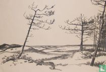 Wald, Dünen