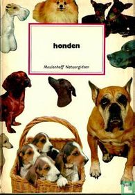 Honden
