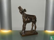 Theo Mackaay, golden calf