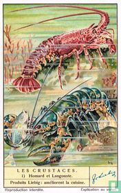 Homard et Langouste for sale