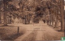 Oprijlaan Kasteel Broekhuizen