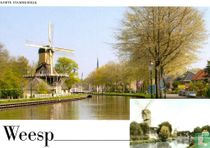 Weesp