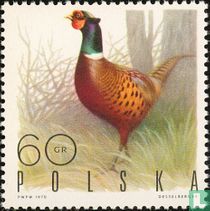 Oiseaux