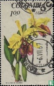 Exposition d'orchidées