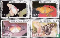 Papillons