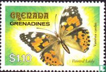Papillons  