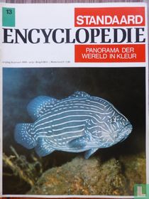 Standaard encyclopedie 13