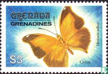 Papillons   