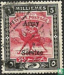 Postbote auf Dromedar