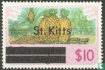 Ananas et arachides
