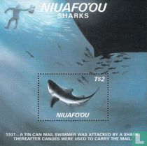 Attaque de requin