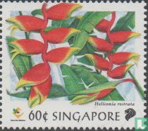 Local flowers 