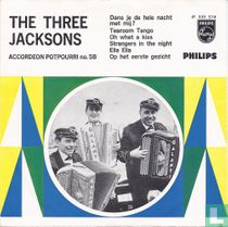 Accordeon potpourri  no. 58