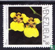 Orchideeen