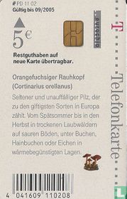 Orangefuchsiger Raukopf - Pilz des Jahres 2002