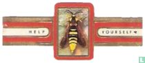 Insects SS cigar labels catalogue