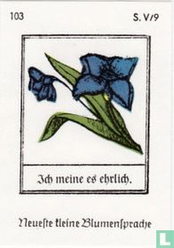 Ich meine es ehrlich