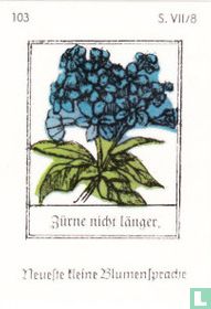 Zürne nicht länger