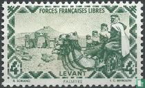 Camel Riders