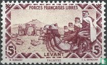Camel Riders