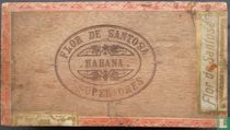 Flor de Santosa