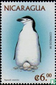 Pinguïns