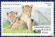 Wild young animals for sale