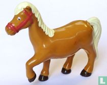 Paard