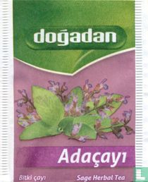 Adaçayi  