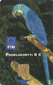Papukaija