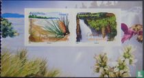 Flora southern regions