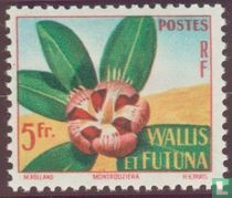 Bloem
