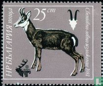 Exposition de Chasse