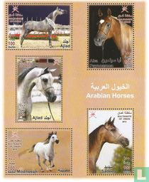 Pur-sang arabe