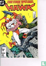 Teen Titans Spotlight 8