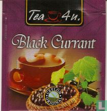 Black Currant 