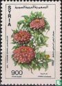 Zinnia elegans