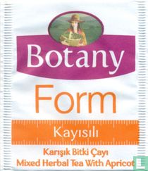 Form 