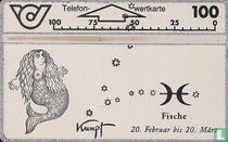 Kumpf - Fische