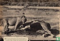 The law of the wilderness