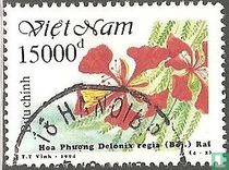 Fleurs d'été acheter