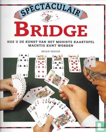 Spectaculair Bridge