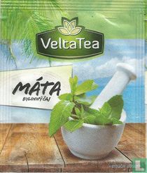 Máta