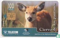 Junto a la Naturaleza