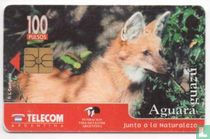 Junto a la Naturaleza