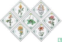 Plantes médicinales acheter