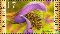 Abeille récoltant le nectar acheter