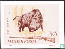 Jagd